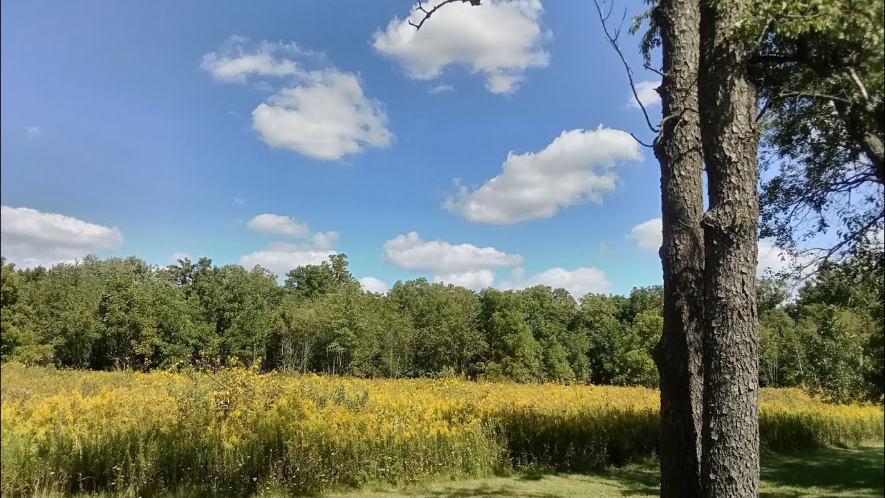 Illinois nature photography in early fall 2023