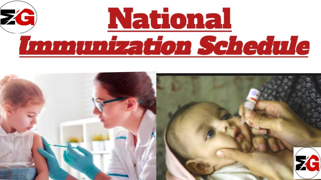 Immunization Schedule In Hindi Ppt