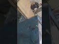 قیمت دستگاه کارتن سازی دست دوم 09123960911