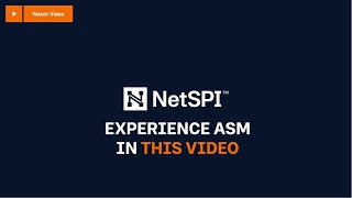 Demo of NetSPI's Attack Surface Management Solution