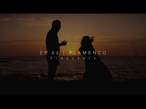 FREQUENCY | FLAMENCO AND ITS WAVES | JOÃO KOPKE