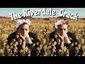 *:･✧The Riverdale Crack *:･✧