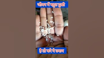 जब भी जीवन में दुख आए तो जरूर करें ये उपाय#pradeepmishrajikeupay #shivmahapuran #viral #shorts