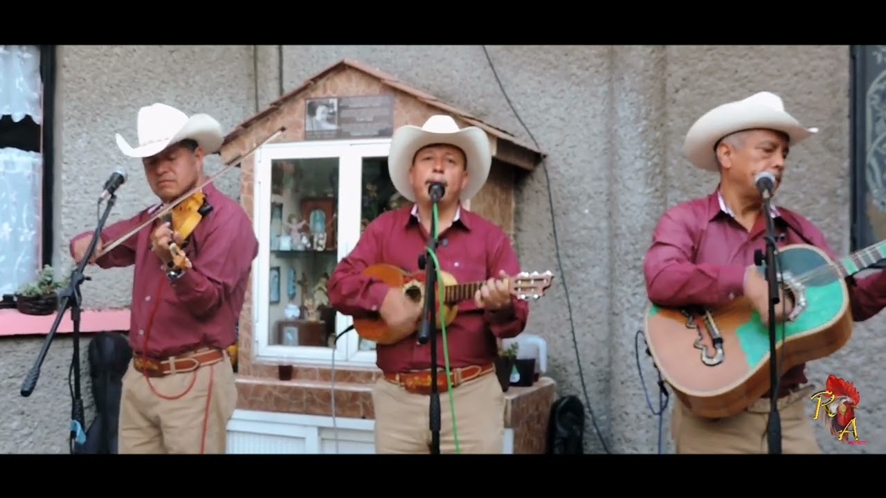 El caballito - Trio Recuerdo a Hidalgo (Live session).
