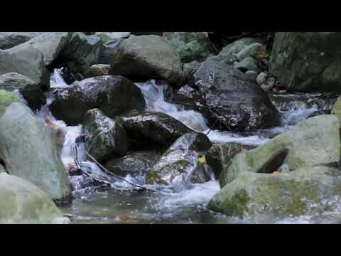 Spring Has Come (Original Track By Sleep & Relaxation Track 37)