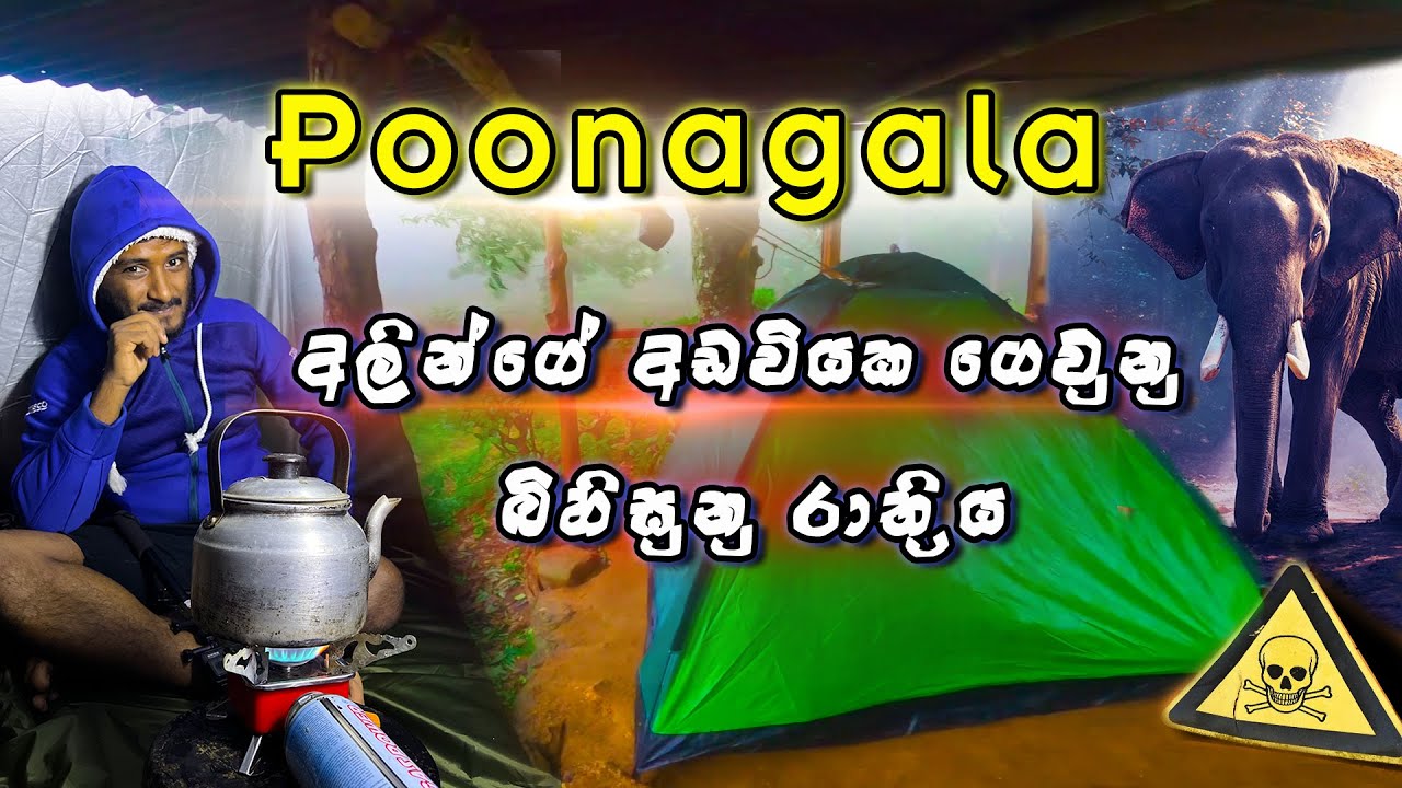 Poonagala camping | අලින්ගේ අඩවියක ගෙවුණු නිදිවර්ජිත රාත්‍රිය ⚠️️🐘 | Sinhala vlog