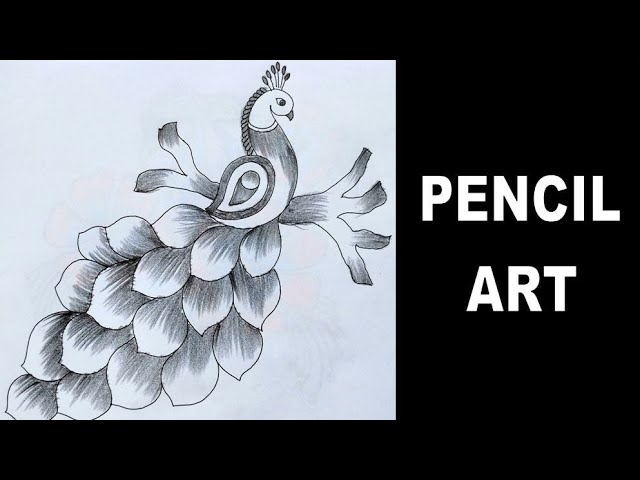 Peacock Hand Drawn Images | Free Photos, PNG Stickers, Wallpapers &  Backgrounds - rawpixel