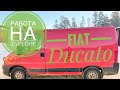 FIAT DUCATO () РАБОТА В ЯНДЕКС ГРУЗОВОЙ