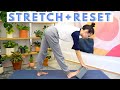 Stretch Reset for Sitting All Day | Ingrid Nilsen