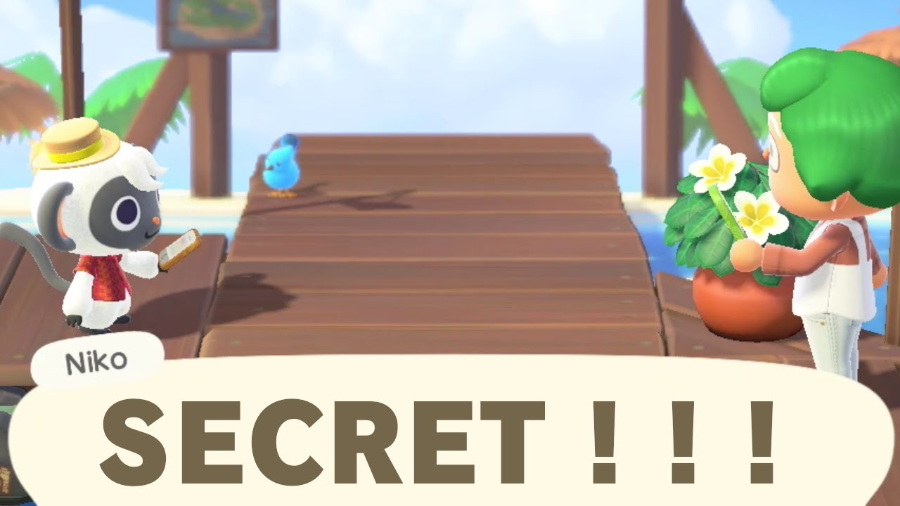If You Help Niko For 10 Days in a Row, This Happens (Niko SECRET in Animal Crossing)