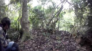 Fight In The Jungle Part13