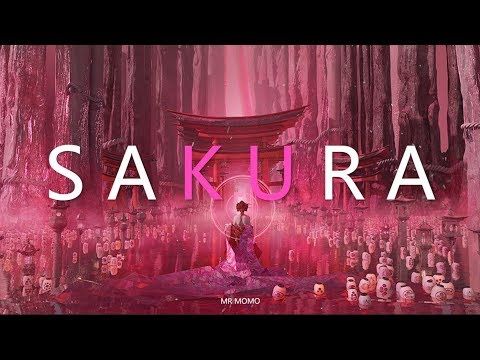 Video: Co Znamená Sakura Pro Japonce?