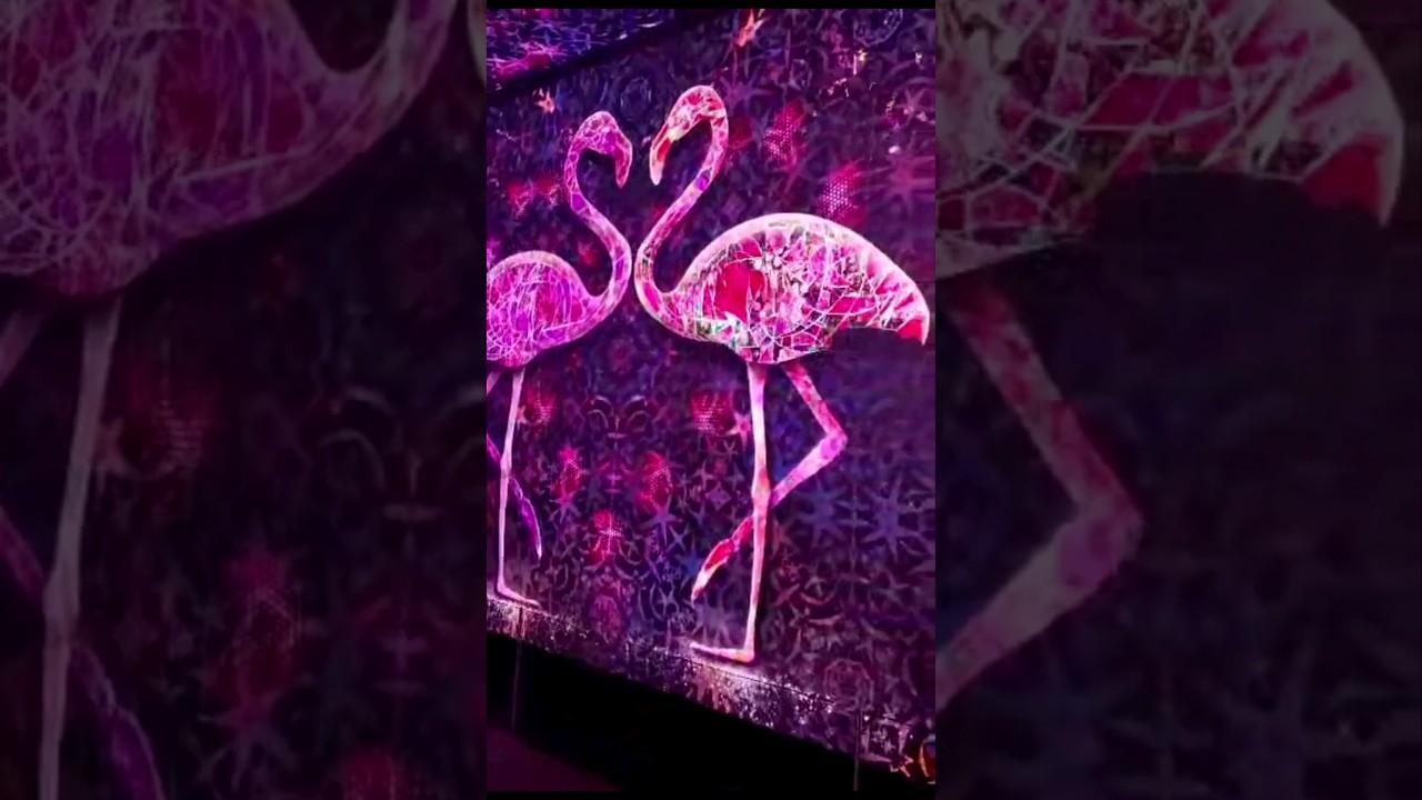 Covent Garden’s Awe-Inspiring, High Tech Light Show 