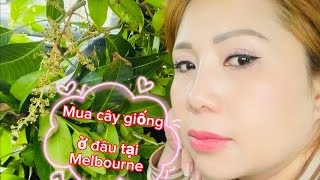 Trồng cây gì cho mùa đông Melbourne/Cuộc sống Melbourne Aus.