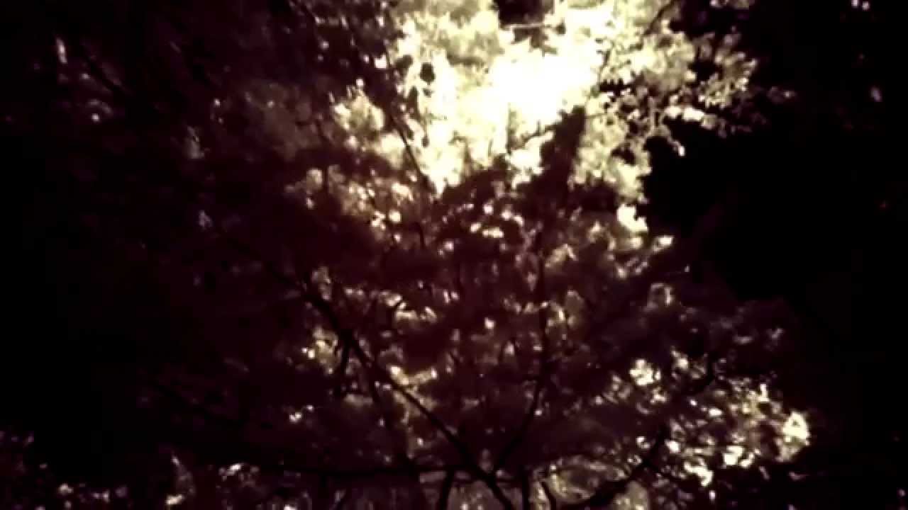Padaporuthanam Song Superhit Nadan Pattu Nadan Pattu Malayalam - YouTube Auto playertube