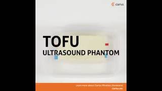 Easy DIY Tofu Ultrasound Phantom screenshot 2