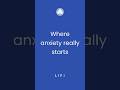 How Sugar Drives Anxiety | The Fructose Model #insulinresistance #metabolichealth #sugarmetabolism
