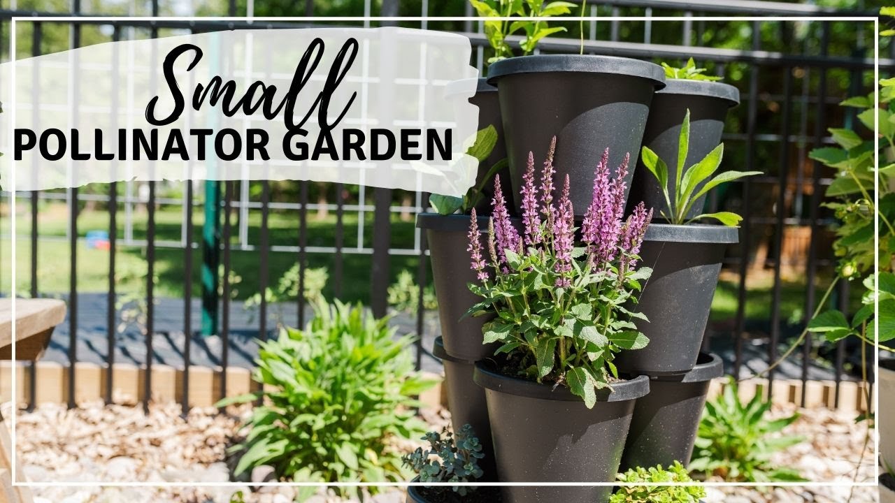 How to Create a Vertical Pollinator Garden in a Small Space