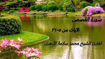 تلاوةخاشعةومؤثرةتدمع لها العين من تراويح مسجد عباد الرحمن لعام 1443ه‍ لفضيلةالشيخ/ محمدسلامةالأزهرى‏