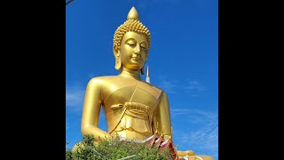 Biggest Buddha Wat Paknam and getting a glimpse of how locals live here.