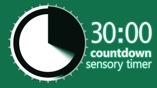30 Minute Sensory Countdown Timer with Digital, Dial, Verbal Alerts, Chime Alarm, and Solid Bkgd