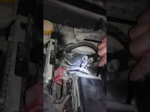 تصفير عقل دوج جورني  