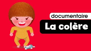 La colère de l'enfant 😌 petit documentaire pour bébé et enfant de crèche et maternelle