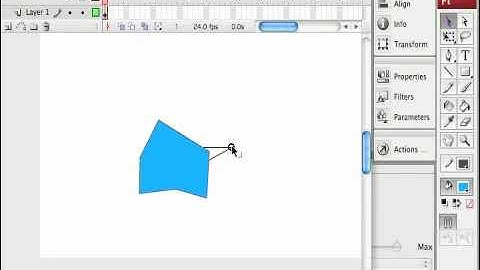 Flash Tools: Sub-Selection Tool
