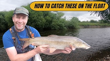 Mastering Float Fishing For Big Barbel: Trent River Techniques Revealed In Part 3! #Trent #River