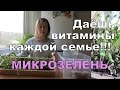 Микрозелень - ВИТАМИНЫ круглый год // Microgreens