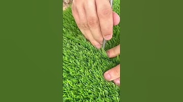 How to splice artificial turf? #landscape #lawncare #artificialgrass