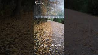 ٧ نوفمبر، ٢٠٢٠