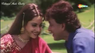 Tere Bin Zindagi | HD Audio Quality | Heeralal Panalal | Udit Naryan | Anuradha Paudwal | By Danish