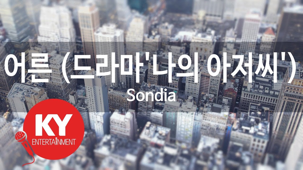 어른(Adult) (드라마'나의 아저씨') - Sondia (KY.49865) / KY Karaoke