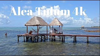 My Favorite Hotel in Tulum, Alea Tulum