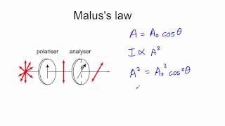 Malus Law