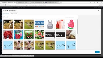 WordPress Simple Download Monitor Plugin Usage