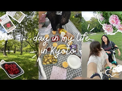 My spring everyday life in Japan as exchange students // Picnic //Free transportation