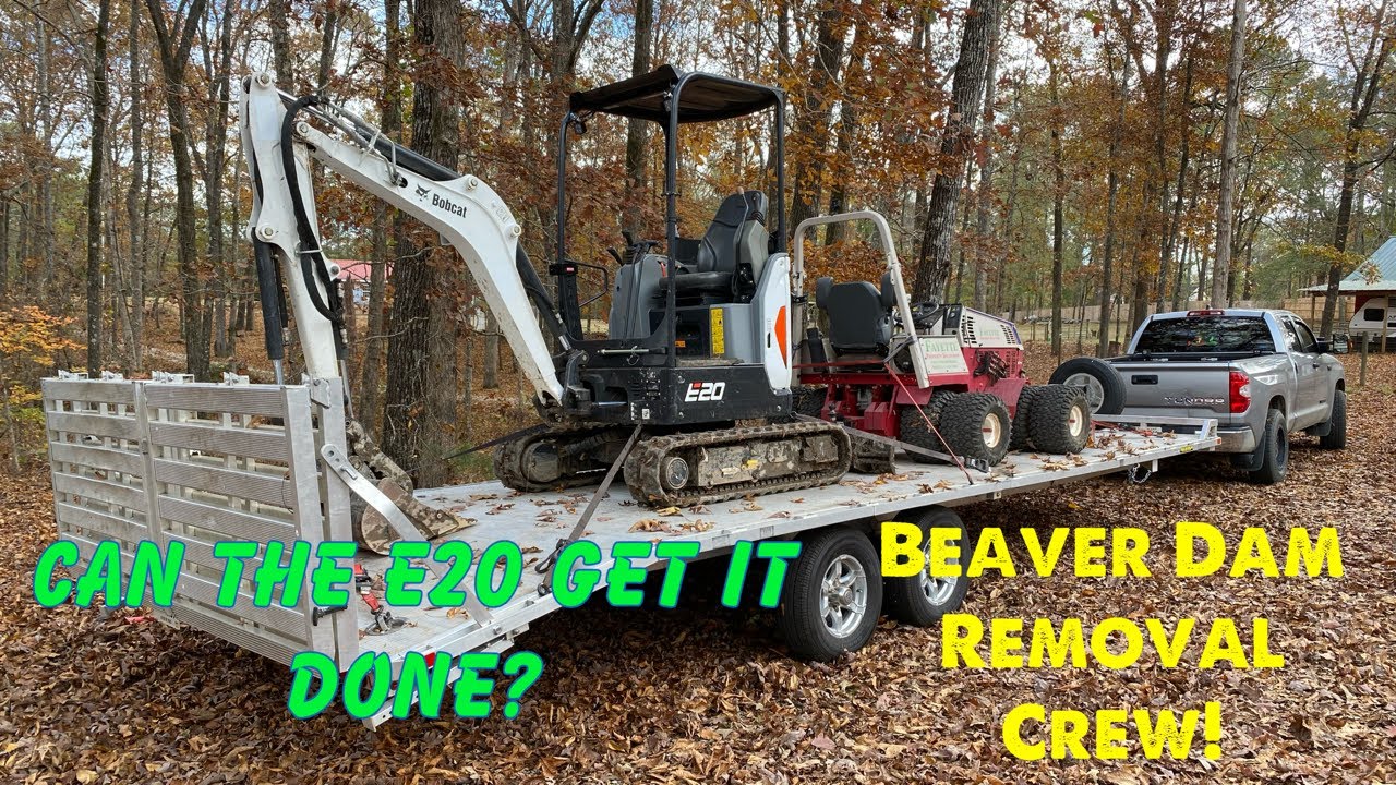 Bobcat E20 AND Ventrac 4500Z Removing Beaver Dams In A Creek