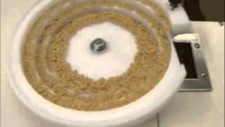 Celebrity BestProtek-IC-0 Seed Counter Net Worth