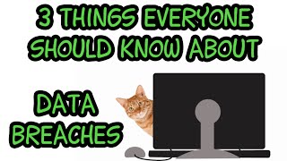 3 Things Everyone Should Know About Data Breaches