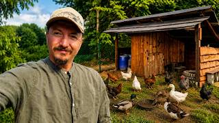 Can I Raise Chickens and Ducks in the Wilderness?