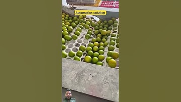 easy to sort #automation #food #machine #design#fruits