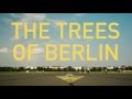 The Trees of Berlin (Snippet 3)