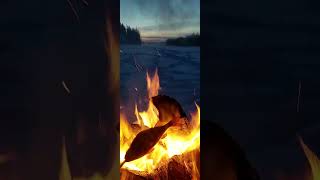 ❄️A frosty evening fishing. Temperature -44❄️ #Россия#ДВ#Рыбалка#Fishing