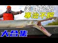 合集 最強美式抄網合集 遇魚不決一槍解決 一槍下去兩百斤巨鱷都被幹冒煙 熱兵器的極限獵殺 合集 最強美式抄網合集 遇魚不決一槍解決 一槍下去兩百斤巨鱷都被幹冒煙 熱兵器的極限獵殺