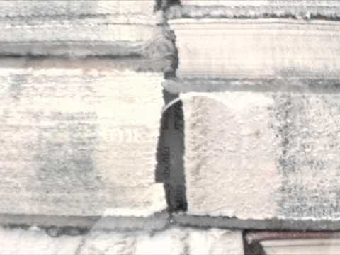 FRAGILE LITERATURE tree