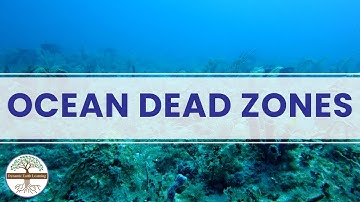 Ocean Dead Zones - Ocean Conservation