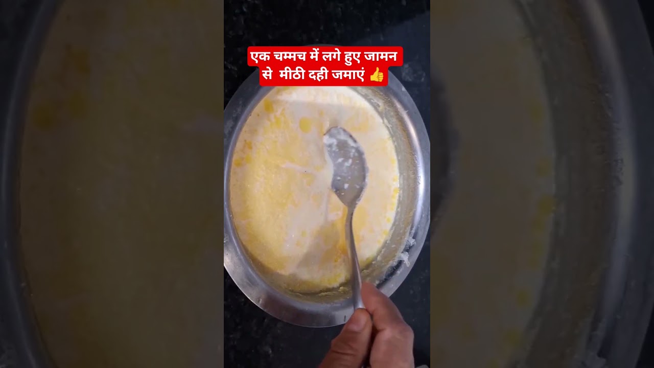 गरमी के मौसम में एक चम्मच में लगे हुए जामन से मीठी दही जमाएं  #dahikaisejamaye #meethidahi #shorts