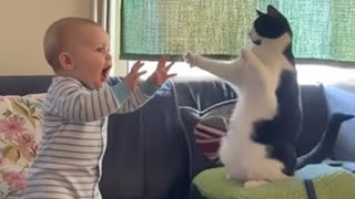 When Your Cat Protects Babies As If They Were Its Own Children